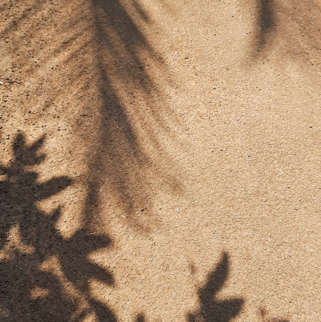 Discover the Sustainable Side of Style