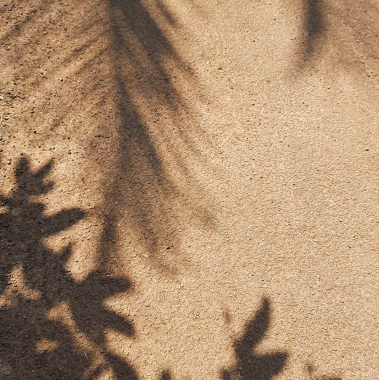 Discover the Sustainable Side of Style